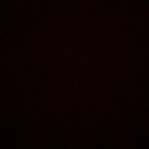 Meet your Posher, Jada